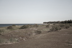 Killikus&reg; Fotographie